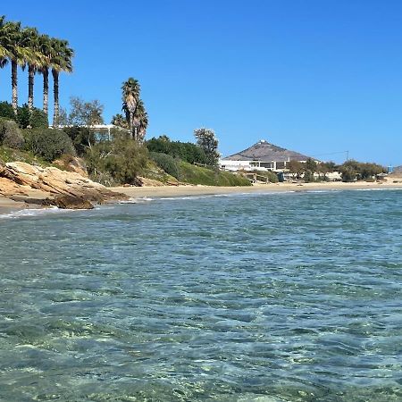 Sunkiss Paros Lägenhet Drios Exteriör bild
