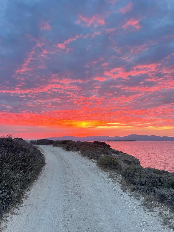Sunkiss Paros Lägenhet Drios Exteriör bild